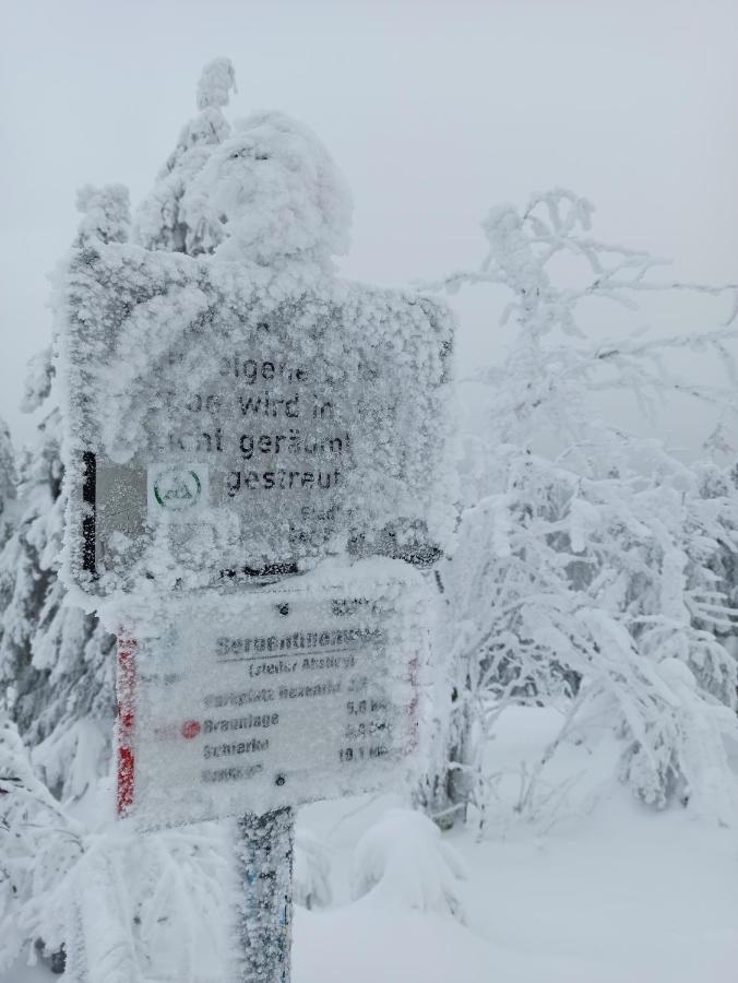 Walpurgis Hexe Leilighet Braunlage Eksteriør bilde