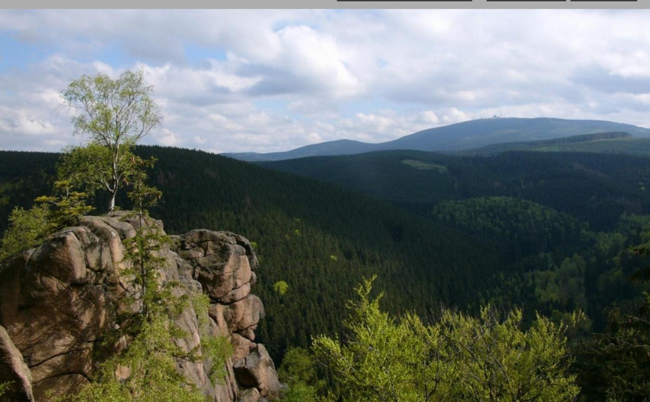 Walpurgis Hexe Leilighet Braunlage Eksteriør bilde