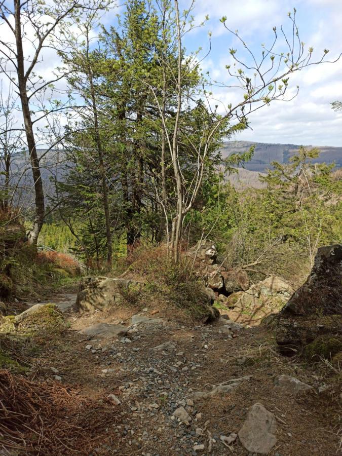 Walpurgis Hexe Leilighet Braunlage Eksteriør bilde